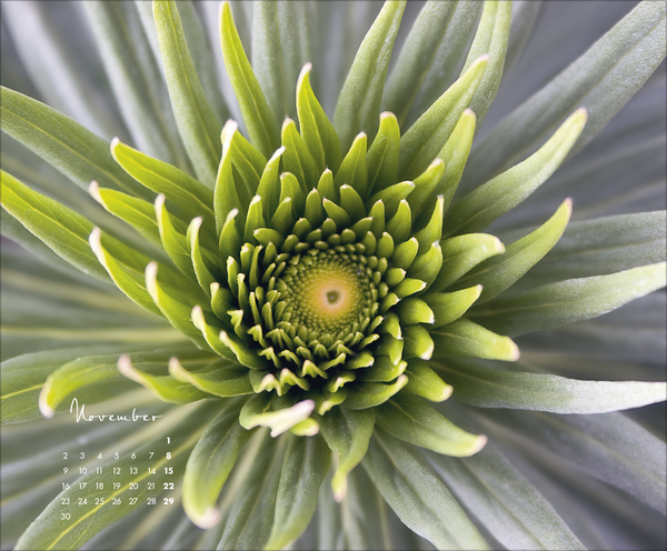Floral Art 2026, Innenansicht #11