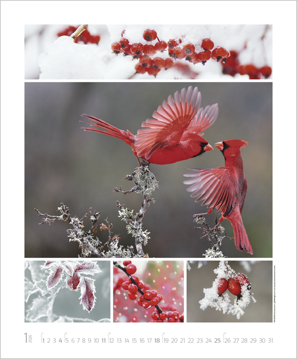 NaturGenuss 2026, Innenansicht #1