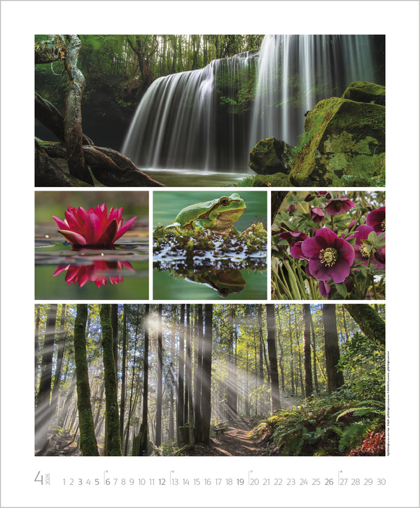 NaturGenuss 2026, Innenansicht #4