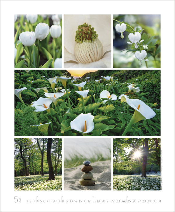 NaturGenuss 2026, Innenansicht #5