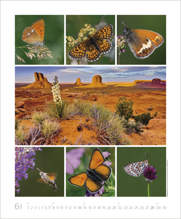 NaturGenuss 2026, Innenansicht #6