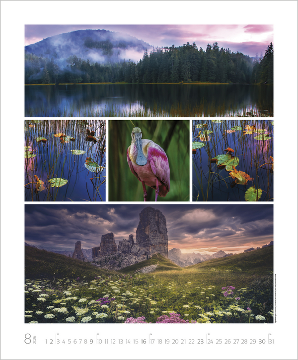 NaturGenuss 2026, Innenansicht #8