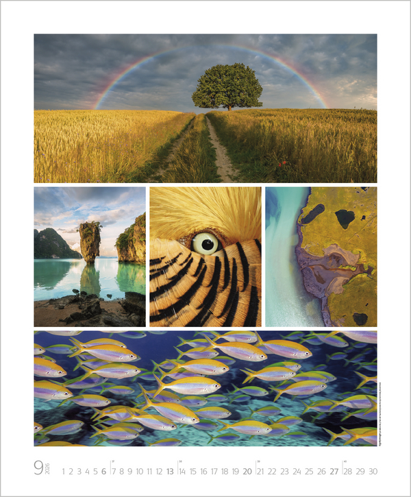 NaturGenuss 2026, Innenansicht #9