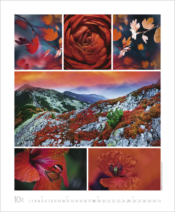 NaturGenuss 2026, Innenansicht #10