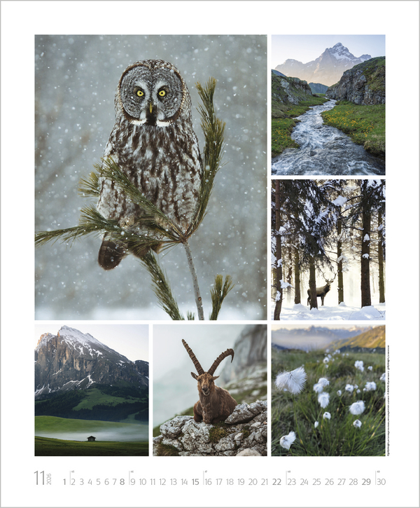 NaturGenuss 2026, Innenansicht #11