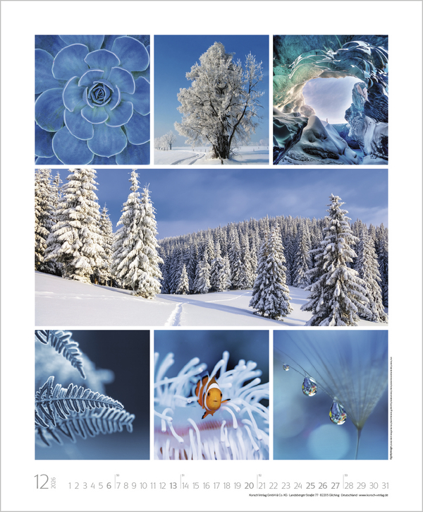 NaturGenuss 2026, Innenansicht #12