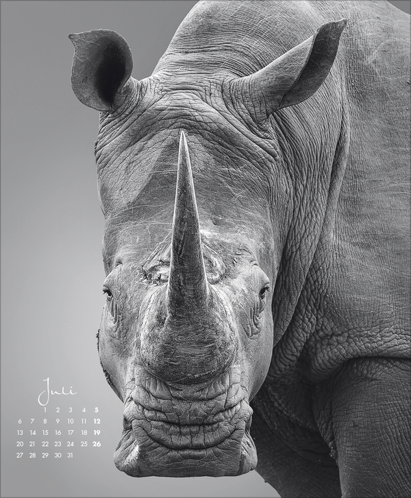 WildLife 2026, Innenansicht #7