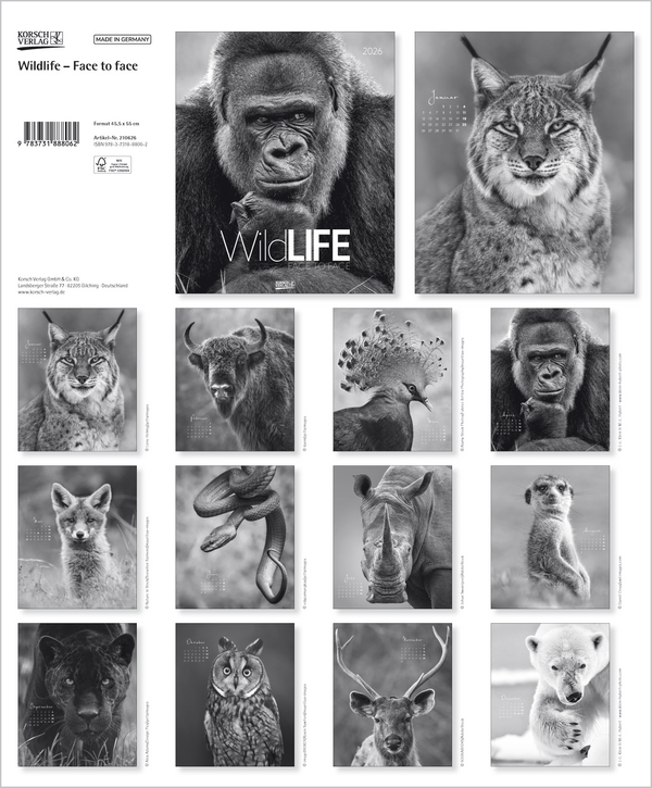 WildLife 2026, Innenansicht #13