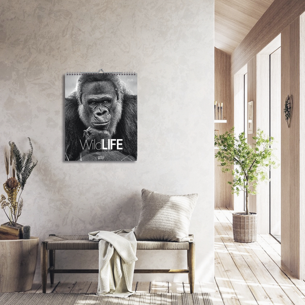 WildLife 2026, Innenansicht #16