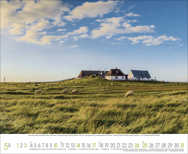 K&uuml;stentr&auml;ume 2026, Innenansicht #5