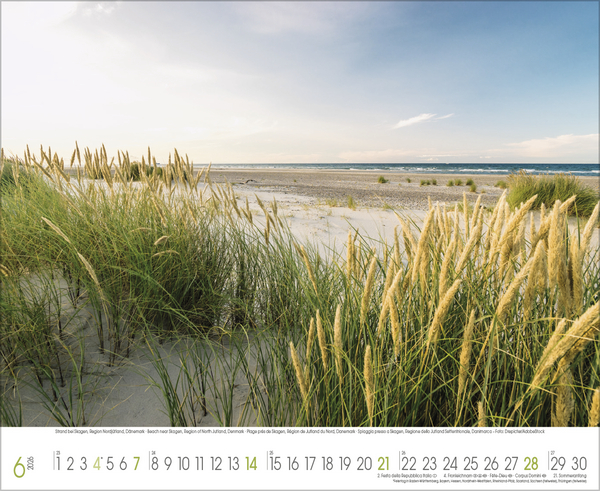 K&uuml;stentr&auml;ume 2026, Innenansicht #6