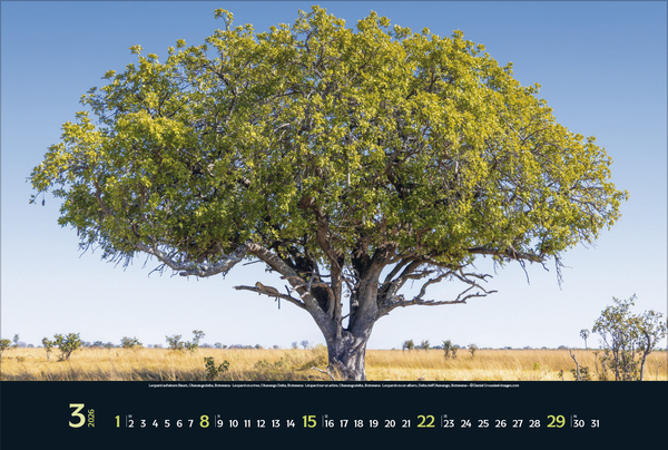 Wilde Tiere - weite Landschaft 2026, Innenansicht #3