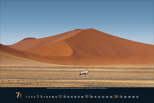 Wilde Tiere - weite Landschaft 2026, Innenansicht #7