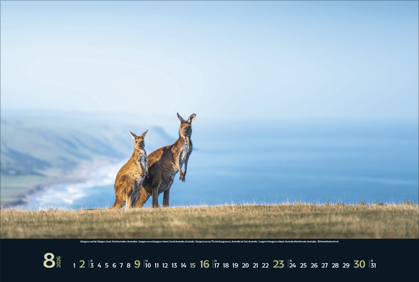 Wilde Tiere - weite Landschaft 2026, Innenansicht #8