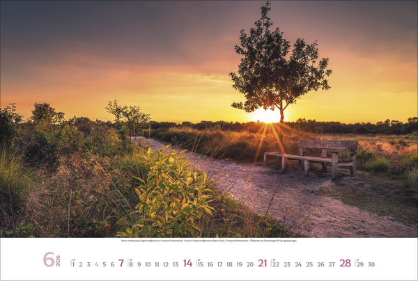 Lieblingspl&auml;tze 2026, Innenansicht #6