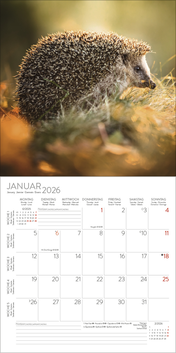 Igel 2026, Innenansicht #1