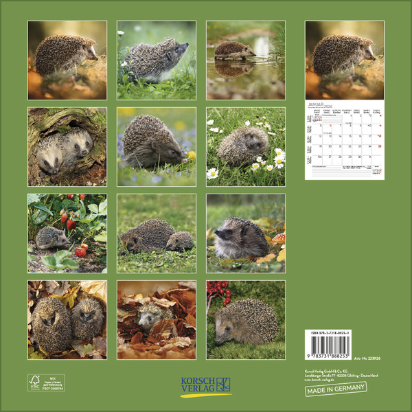 Igel 2026, Innenansicht #13