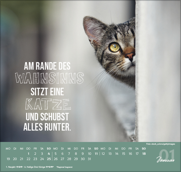 Live, Love, Meow 2026, Innenansicht #1