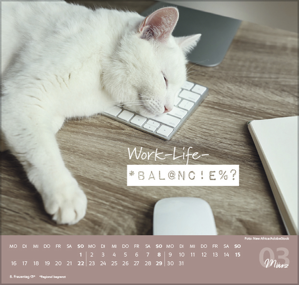 Live, Love, Meow 2026, Innenansicht #3