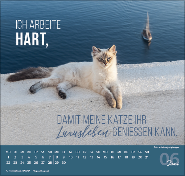 Live, Love, Meow 2026, Innenansicht #6