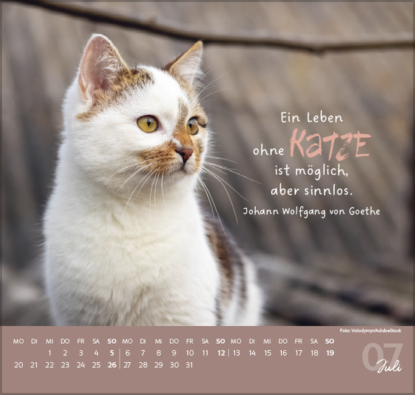 Live, Love, Meow 2026, Innenansicht #7