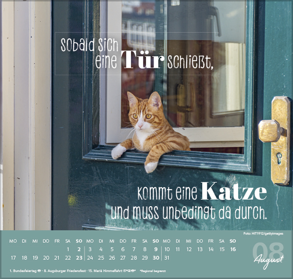 Live, Love, Meow 2026, Innenansicht #8