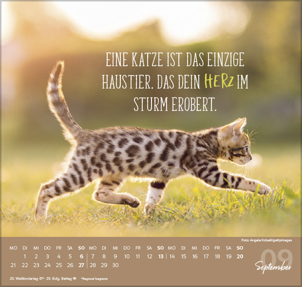 Live, Love, Meow 2026, Innenansicht #9