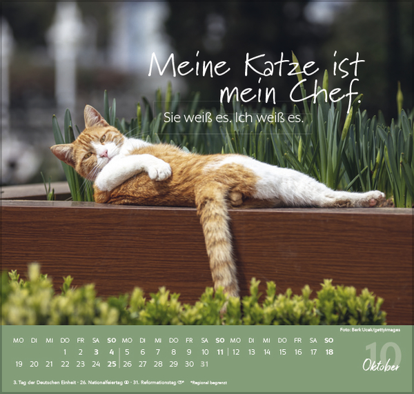 Live, Love, Meow 2026, Innenansicht #10
