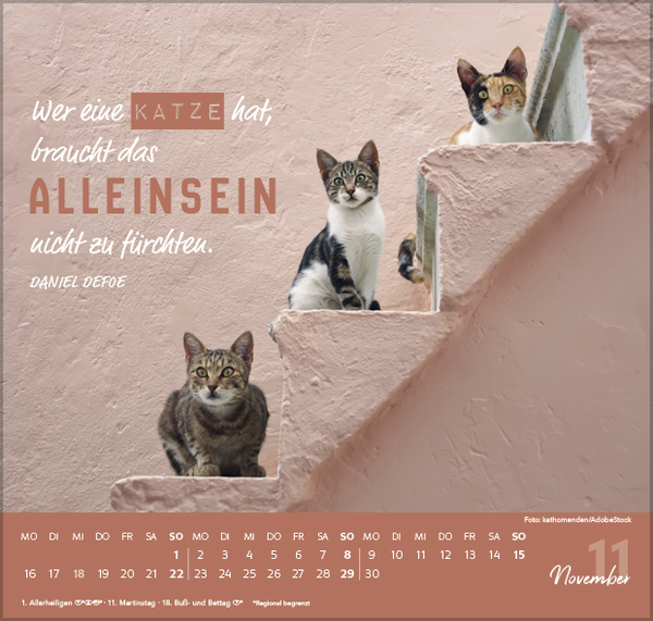 Live, Love, Meow 2026, Innenansicht #11