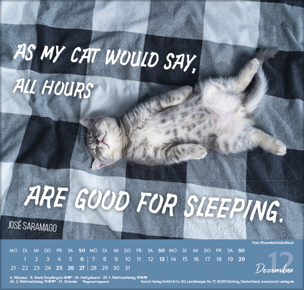 Live, Love, Meow 2026, Innenansicht #12
