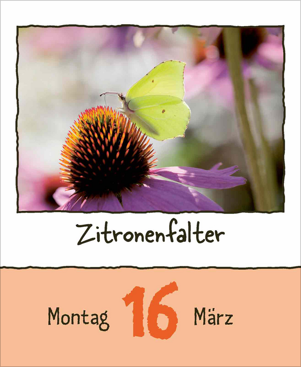 Tierisch unterwegs 2026, Innenansicht #4