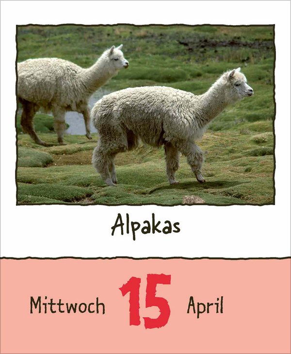 Tierisch unterwegs 2026, Innenansicht #5