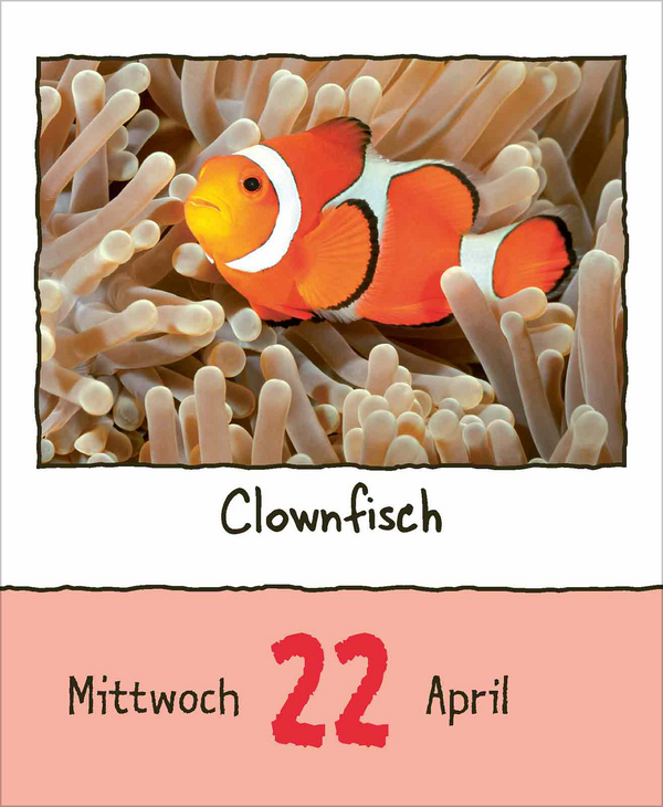 Tierisch unterwegs 2026, Innenansicht #6