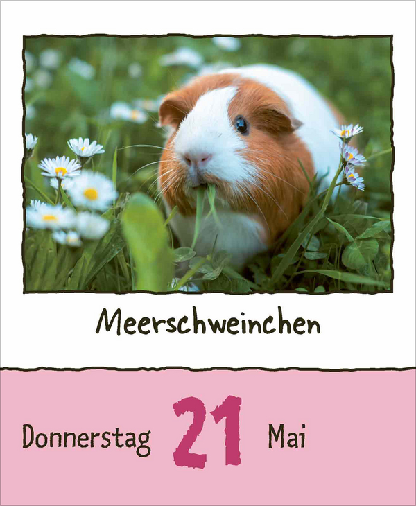 Tierisch unterwegs 2026, Innenansicht #7