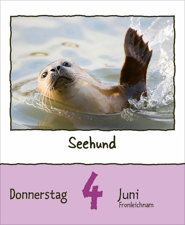 Tierisch unterwegs 2026, Innenansicht #8