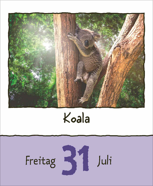 Tierisch unterwegs 2026, Innenansicht #10