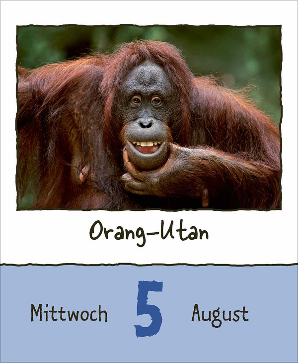 Tierisch unterwegs 2026, Innenansicht #11