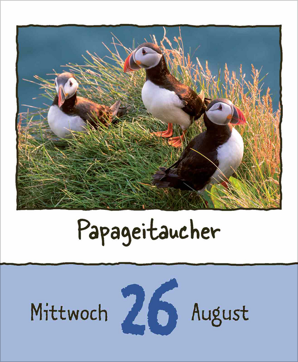 Tierisch unterwegs 2026, Innenansicht #12