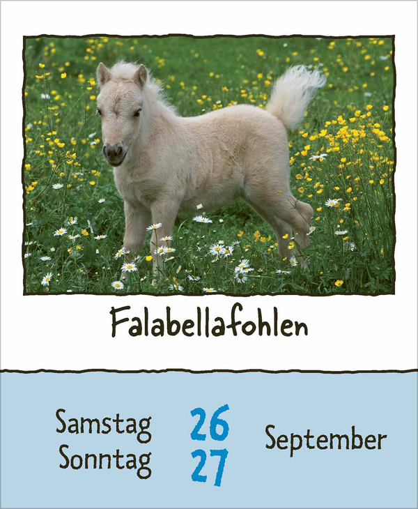 Tierisch unterwegs 2026, Innenansicht #13