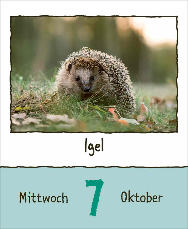 Tierisch unterwegs 2026, Innenansicht #14