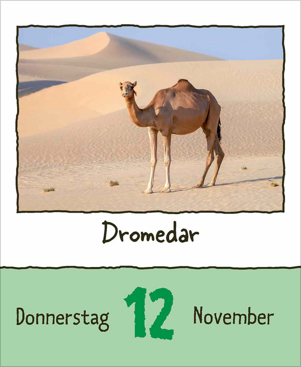 Tierisch unterwegs 2026, Innenansicht #15