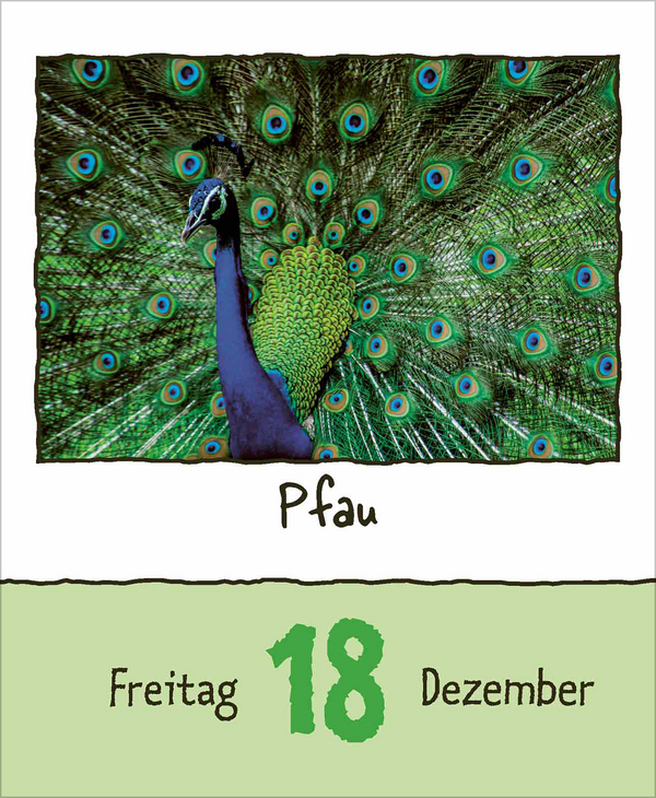 Tierisch unterwegs 2026, Innenansicht #16