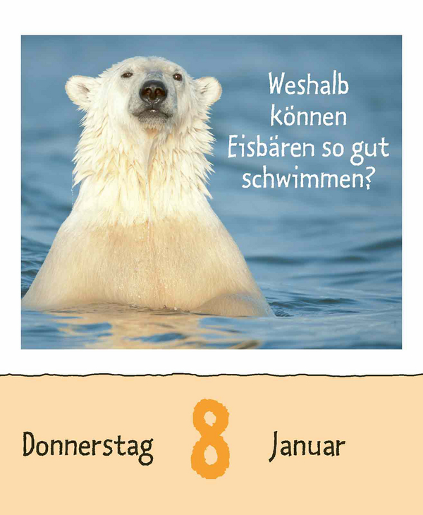 Wie faul ist das Faultier? 2026, Innenansicht #1