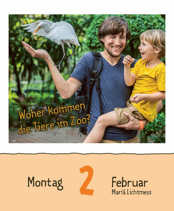 Wie faul ist das Faultier? 2026, Innenansicht #3