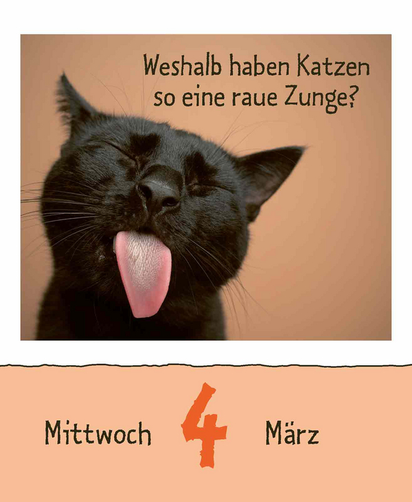 Wie faul ist das Faultier? 2026, Innenansicht #5