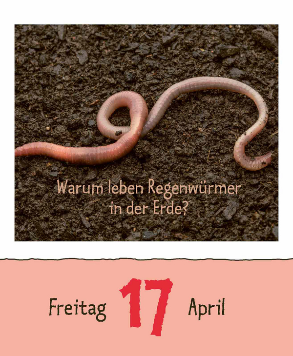 Wie faul ist das Faultier? 2026, Innenansicht #6