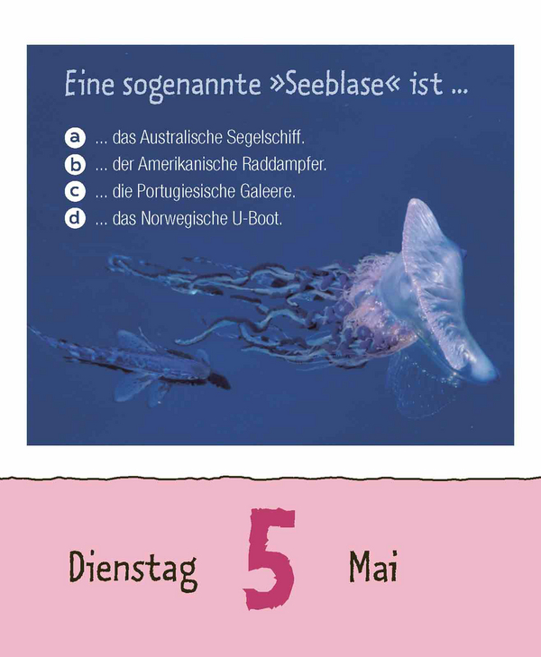 Wie faul ist das Faultier? 2026, Innenansicht #7