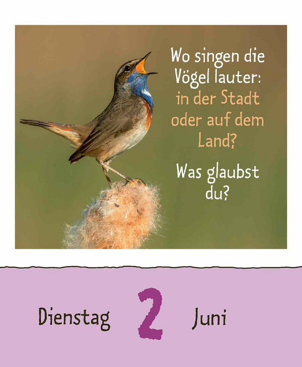 Wie faul ist das Faultier? 2026, Innenansicht #9