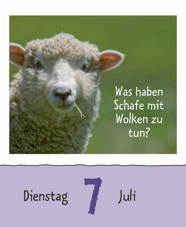 Wie faul ist das Faultier? 2026, Innenansicht #10