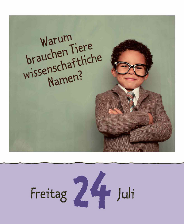 Wie faul ist das Faultier? 2026, Innenansicht #11